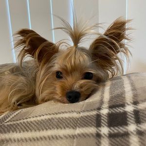 Meet your Posher, Sally